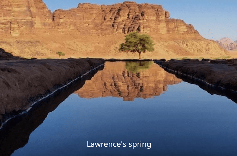 Lawrence's spring Wadi Rum Jordan